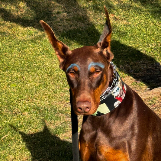 Das Harley Limited Halsband